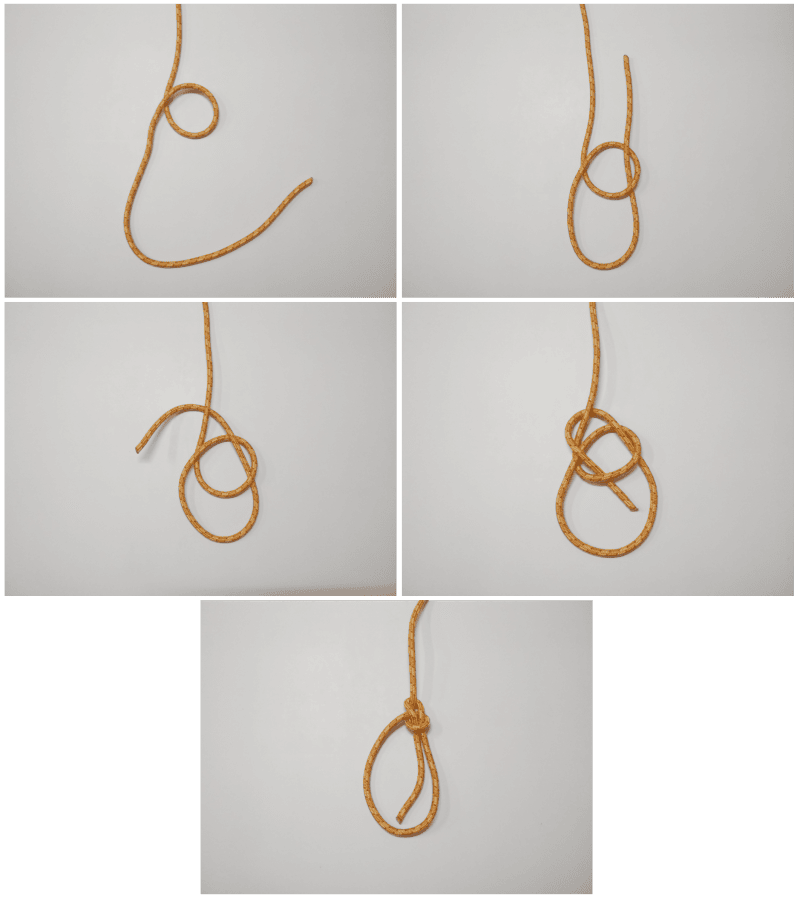 bowline