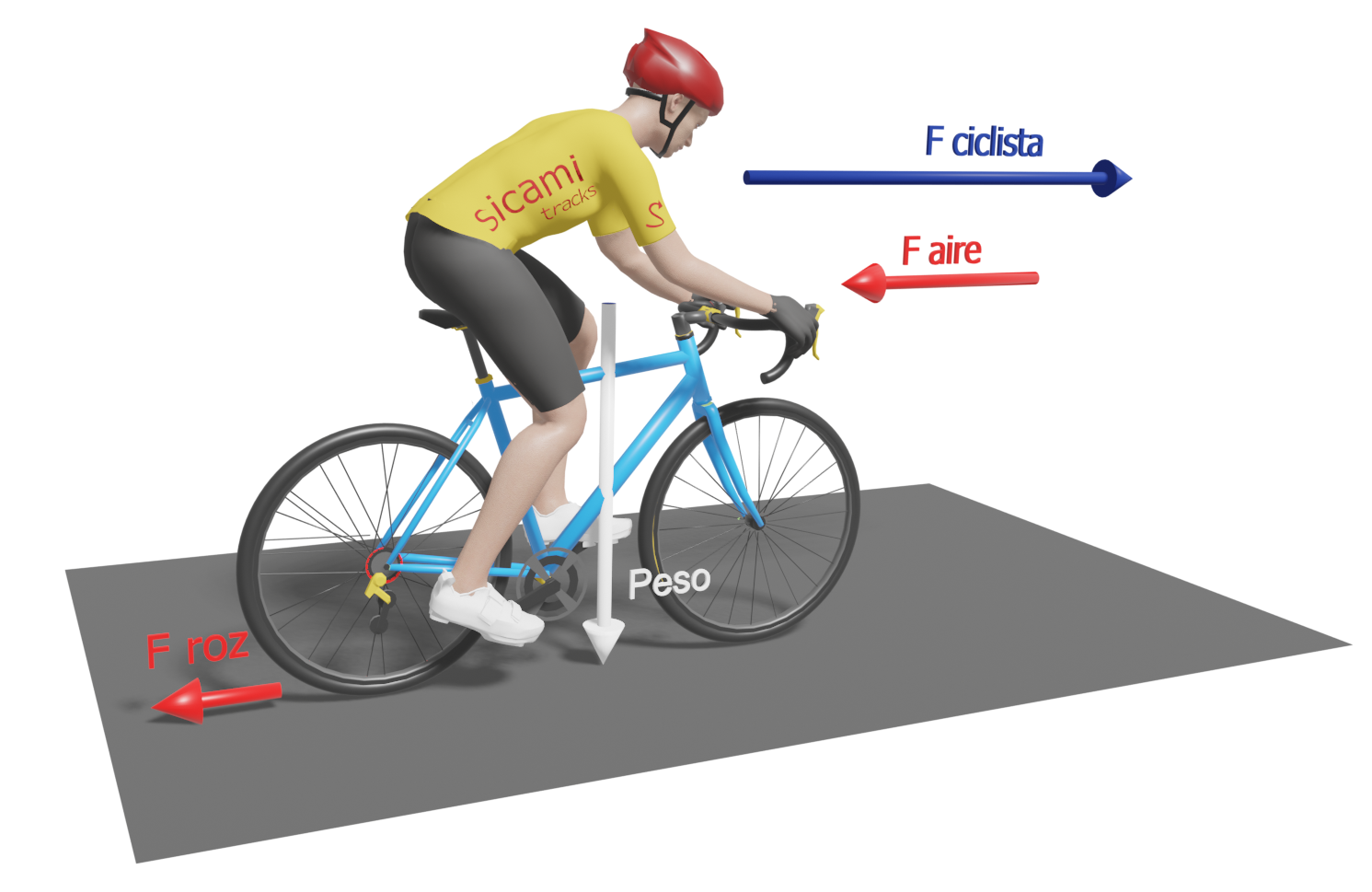 Physics of cycling Forces. Basic notions