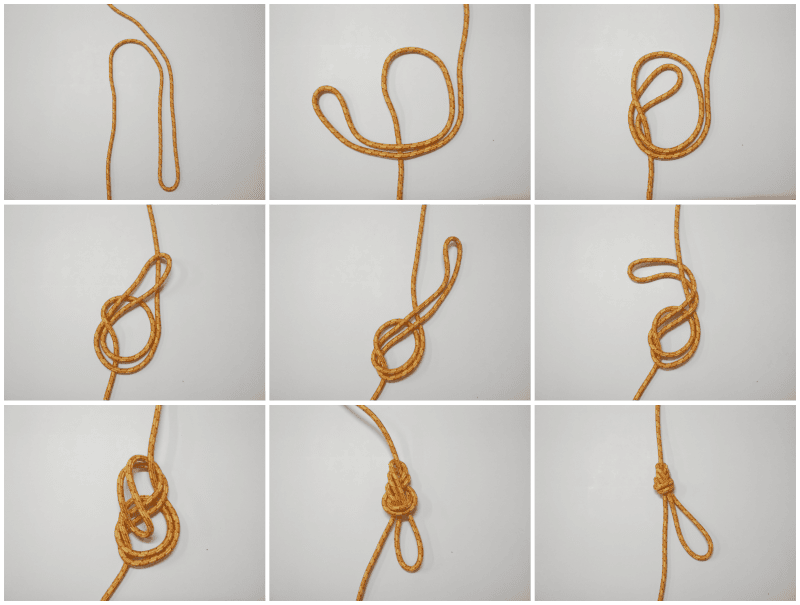 The Knots