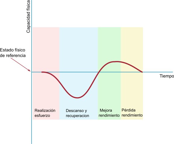 Evolución rendimiento