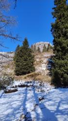 이미지 썸네일 0