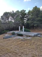 Miniatura imagen 1