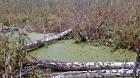 Image thumbnail 9
