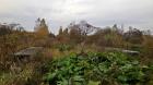 Image thumbnail 6