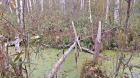 Image thumbnail 10