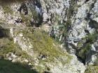 Miniatura imagen 10