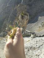 Miniatura imagen 28
