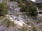 Image thumbnail 4