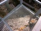Image thumbnail 6