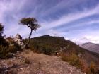 Image thumbnail 13