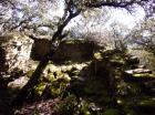 Image thumbnail 21