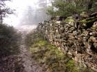Image thumbnail 1