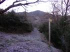 Image thumbnail 3