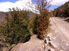 Image thumbnail 15