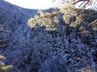 Image thumbnail 5