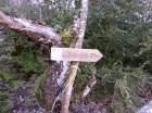 Image thumbnail 2