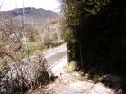 Image thumbnail 19