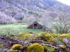 Image thumbnail 2