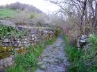 Image thumbnail 1