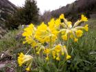 Image thumbnail 16