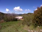 Image thumbnail 11