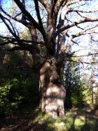 Image thumbnail 2