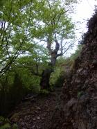 Image thumbnail 5