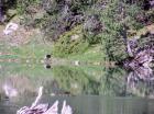 Miniatura imagen 4