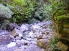 Image thumbnail 6