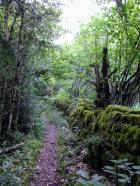 Image thumbnail 1