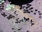 Image thumbnail 18