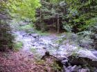 Image thumbnail 10