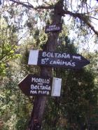 Miniatura imagen 17