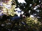 Miniatura imagen 2