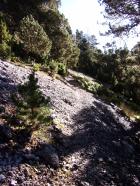 Miniatura imagen 5