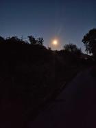 Miniatura imagen 100