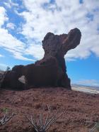 Miniatura imagen 131