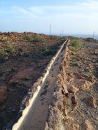 Miniatura imagen 165