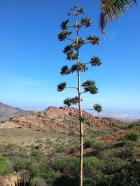 Miniatura imagen 157