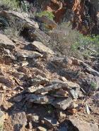 Miniatura imagen 113