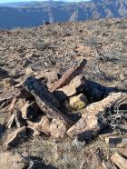 Miniatura imagen 108