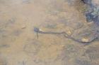 Image thumbnail 12