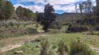 Image thumbnail 8