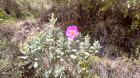 Image thumbnail 14