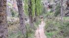 Image thumbnail 6
