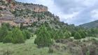 Image thumbnail 19