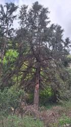 Image thumbnail 7