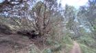 Image thumbnail 18
