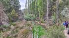Image thumbnail 15