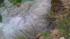Image thumbnail 17